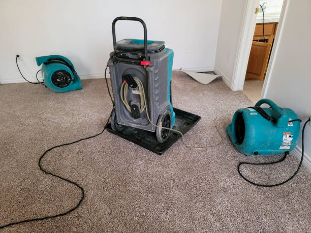 Best Basement water damage restoration  in Colonial Rk, PA