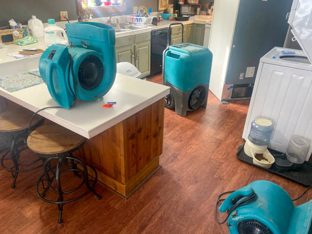 Best Sewage cleanup and water damage restoration  in Colonial Rk, PA