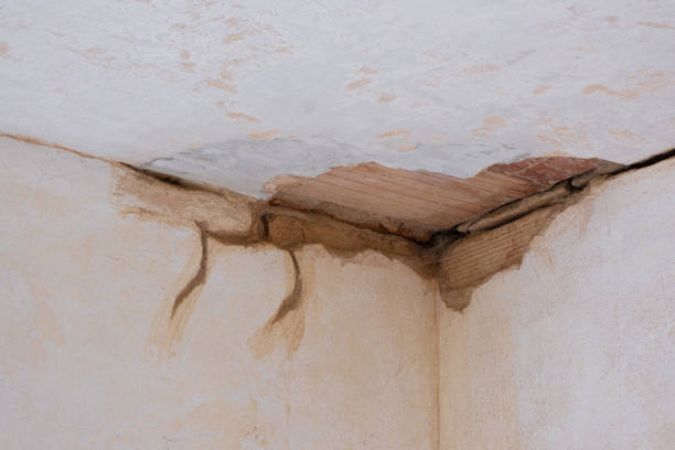 Best Flood restoration services  in Colonial Rk, PA