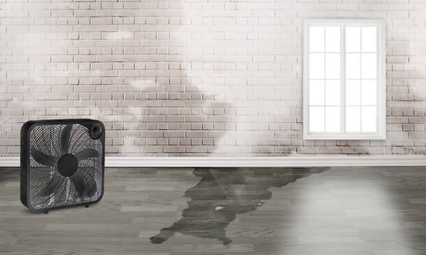 24/7 water damage repair in PA