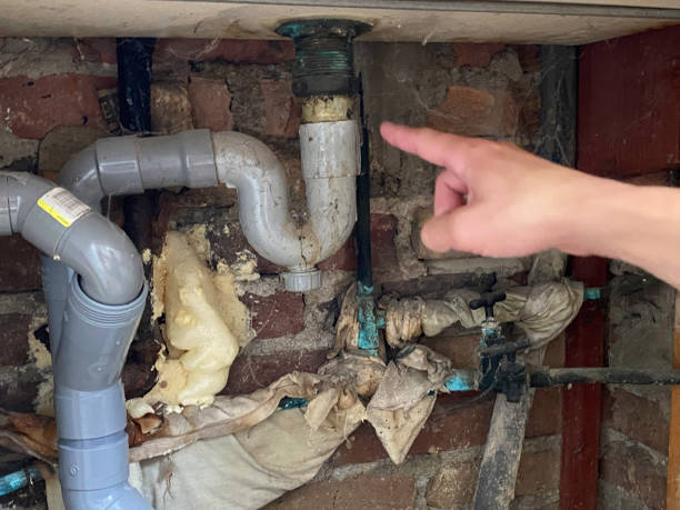 Best Mold removal after water damage  in Colonial Rk, PA